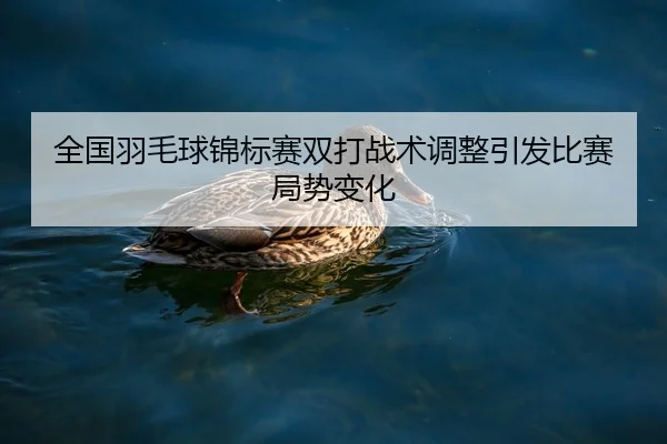 全国羽毛球锦标赛双打战术调整引发比赛局势变化